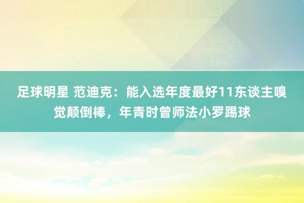 足球明星 范迪克：能入选年度最好11东谈主嗅觉颠倒棒，年青时曾师法小罗踢球