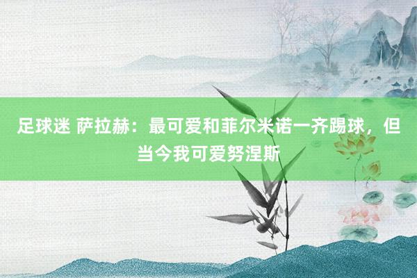 足球迷 萨拉赫：最可爱和菲尔米诺一齐踢球，但当今我可爱努涅斯