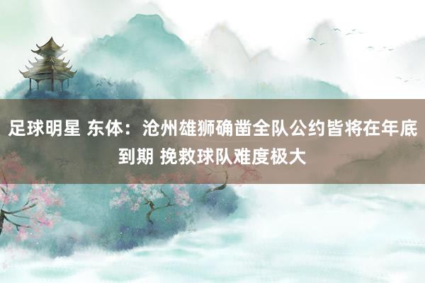 足球明星 东体：沧州雄狮确凿全队公约皆将在年底到期 挽救球队难度极大