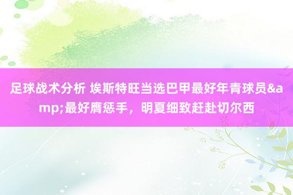 足球战术分析 埃斯特旺当选巴甲最好年青球员&最好膺惩手，明夏细致赶赴切尔西