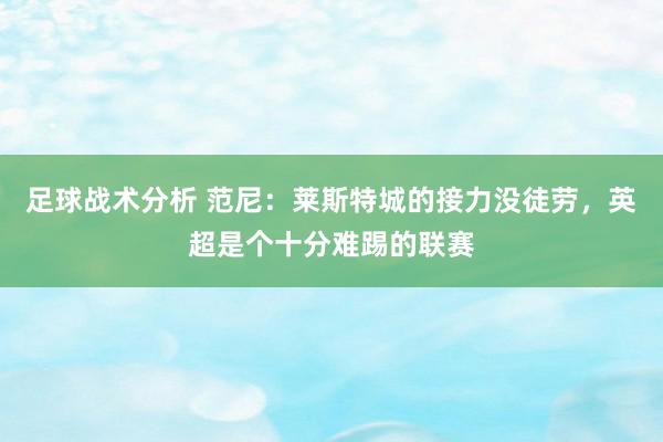 足球战术分析 范尼：莱斯特城的接力没徒劳，英超是个十分难踢的联赛