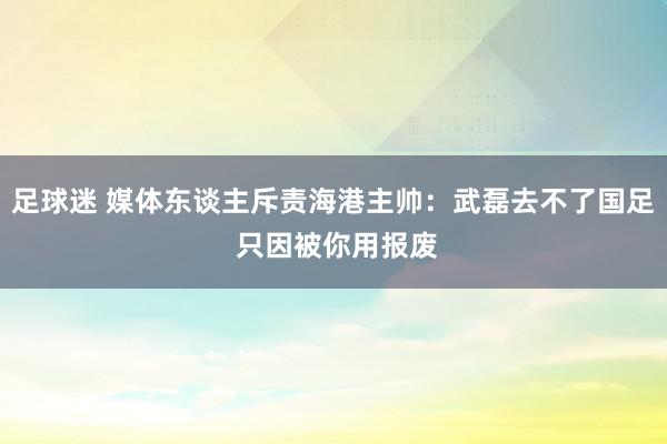 足球迷 媒体东谈主斥责海港主帅：武磊去不了国足 只因被你用报废