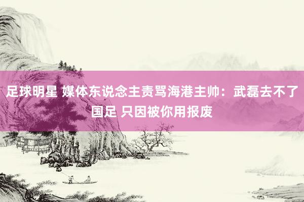 足球明星 媒体东说念主责骂海港主帅：武磊去不了国足 只因被你用报废